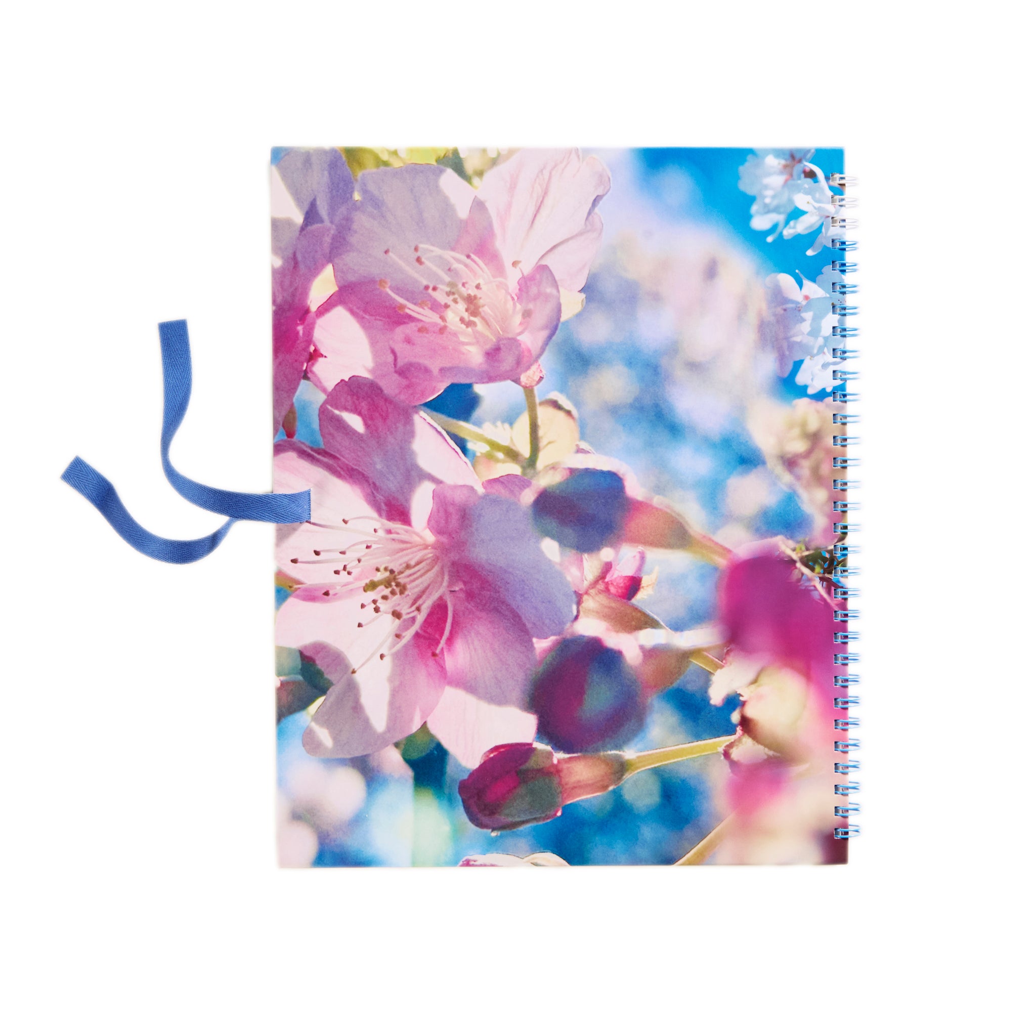 250206-goods3158.jpg?v=1739935817