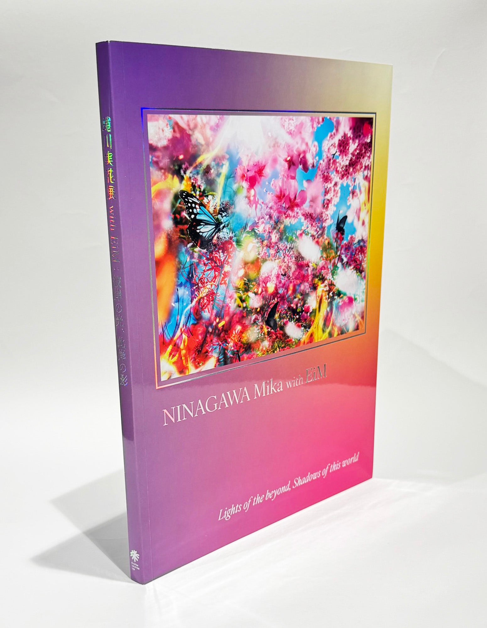 蜷川実花 CELINE meets Mika Ninagawa DVD付　新品 蜷川実花 CELINE meets Mika Ninagawa DVD付 新品 蜷川実花展