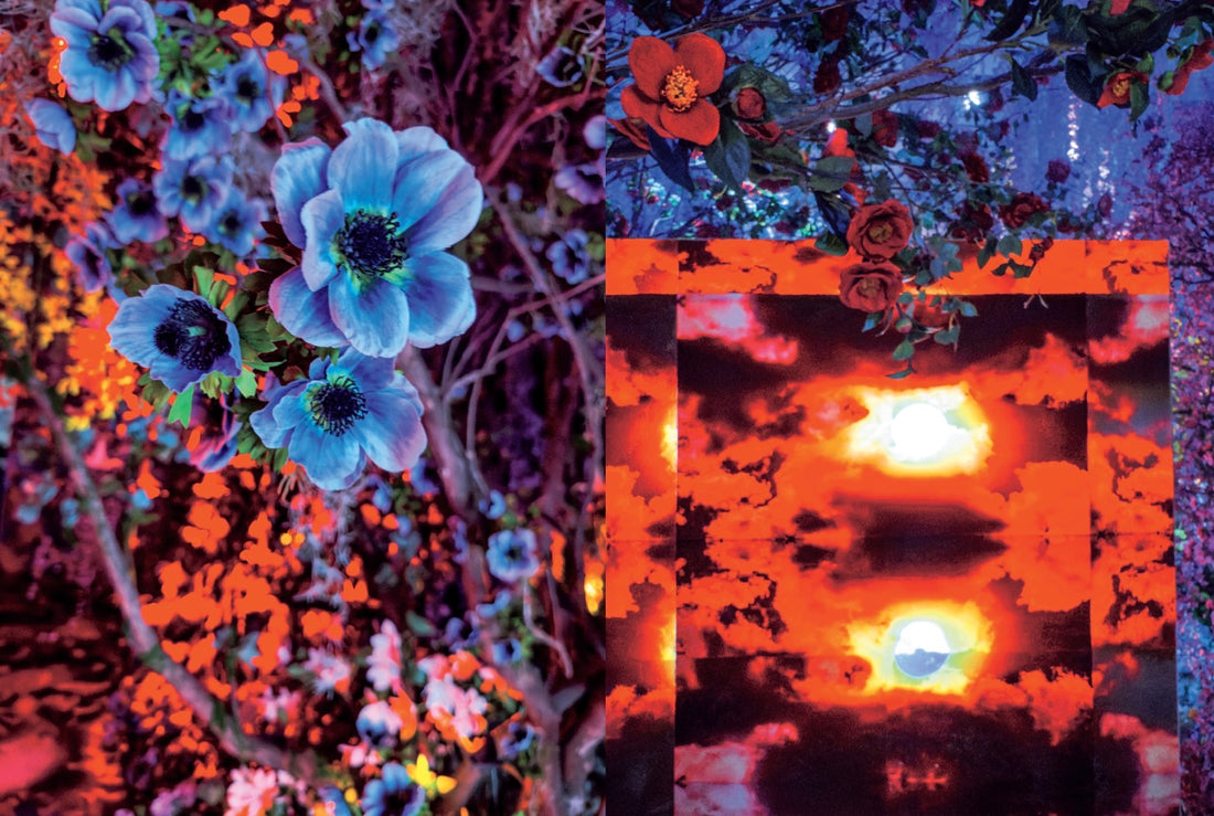 公式図録 | 蜷川実花展 with EiM:彼岸の光、此岸の影