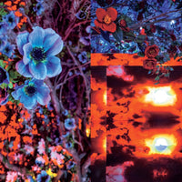 公式図録 | 蜷川実花展 with EiM:彼岸の光、此岸の影