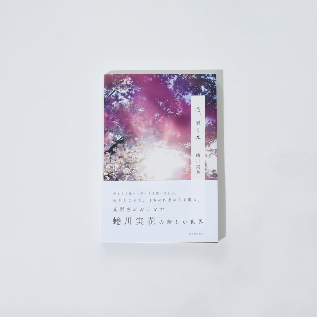 花、瞬く光