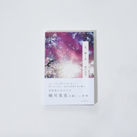 花、瞬く光