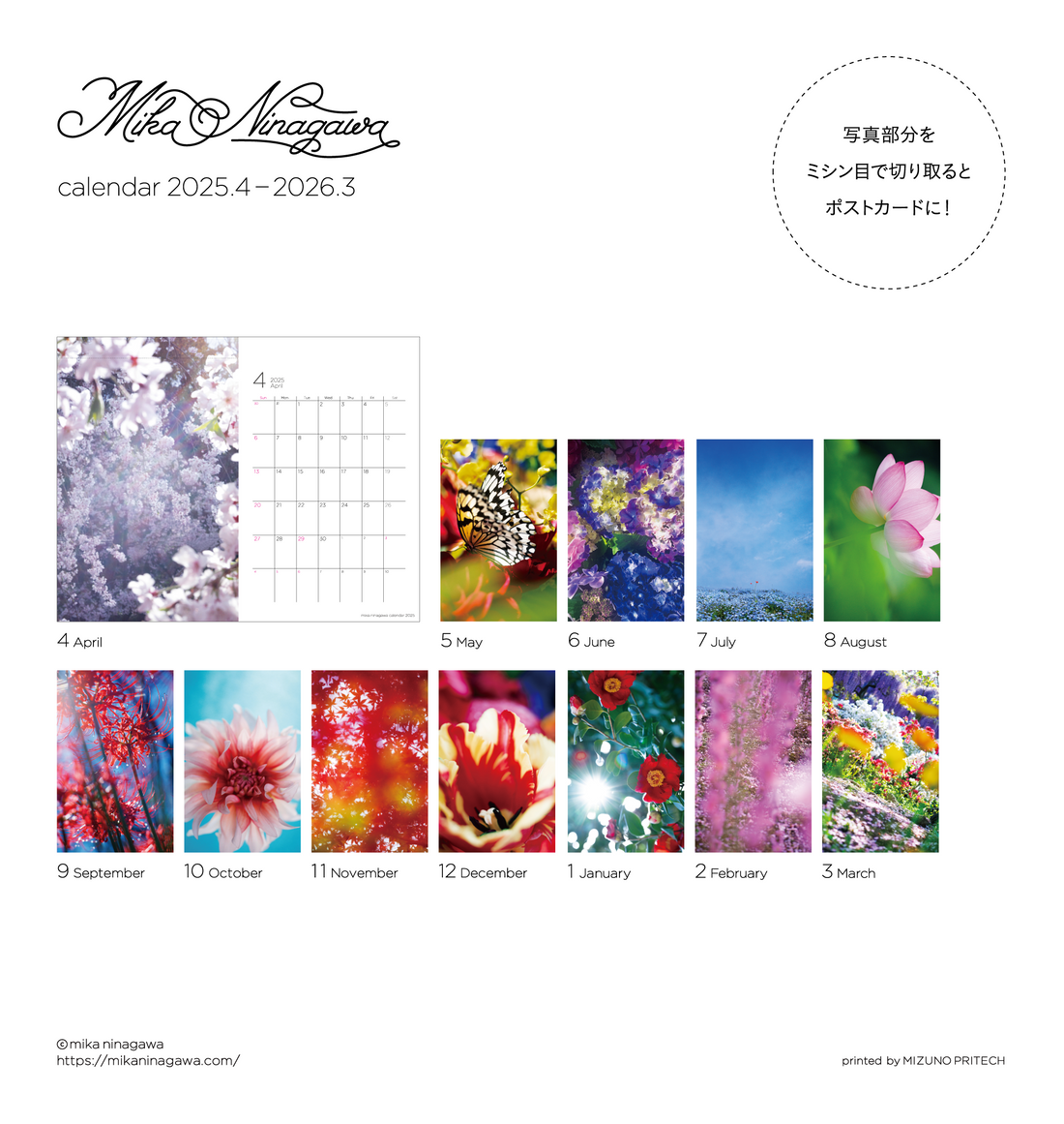 MIYAVI】2011年 カレンダー MIYAVI】2011年 カレンダー MIYAVI】2011年 カレンダー MIYAVI】2011年 カレンダー