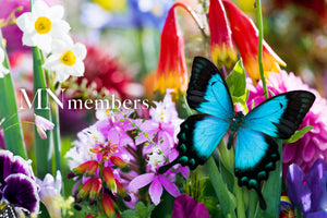 MIKA NINAGAWA OFFICIAL STORE