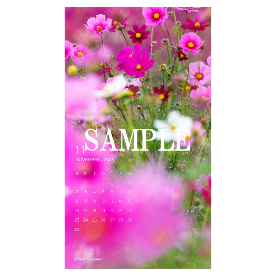 デジタルカレンダー（スマホ用　Bタイプ）