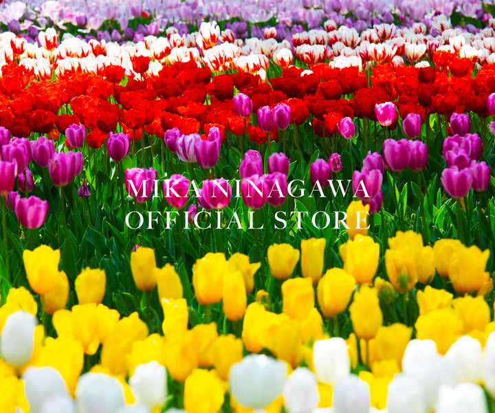 MIKA NINAGAWA OFFICIAL STORE