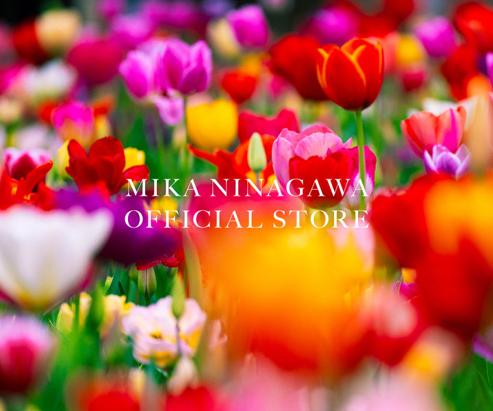 MIKA NINAGAWA OFFICIAL STORE