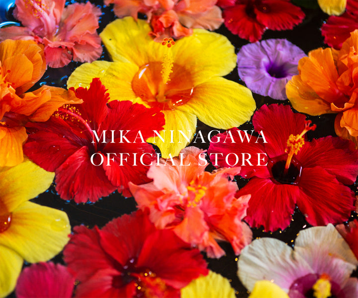 #ミーカ専用出品202412ご購入作品 フラゲレビュー】otona MUSE（オトナミューズ）2024年12月号増刊
