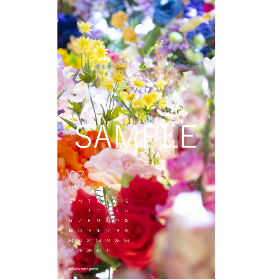 蜷川実花 CELINE meets Mika Ninagawa DVD付　新品 MIKA NINAGAWA – MIKA NINAGAWA OFFICIAL STORE